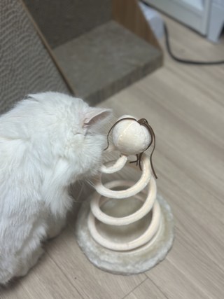 갤러리 이미지