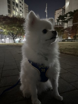 갤러리 이미지