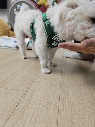 갤러리 이미지
