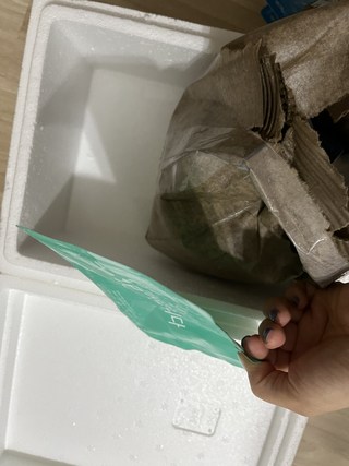 갤러리 이미지
