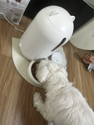 갤러리 이미지