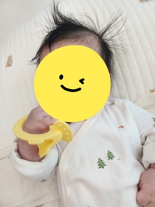 갤러리 이미지