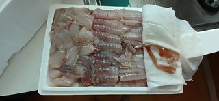 갤러리 이미지