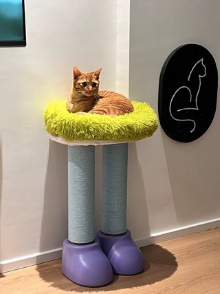 갤러리 이미지