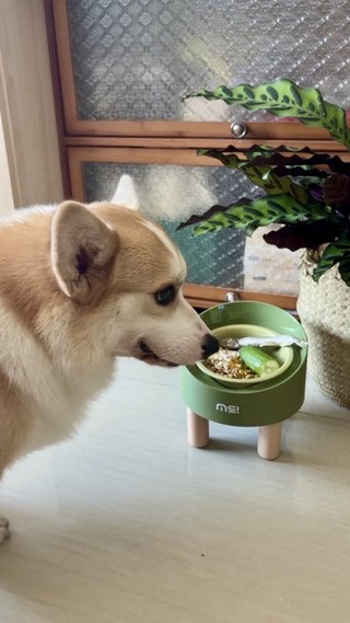 갤러리 이미지