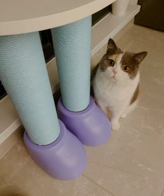 갤러리 이미지
