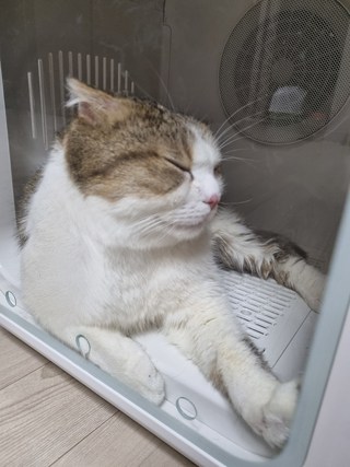 갤러리 이미지