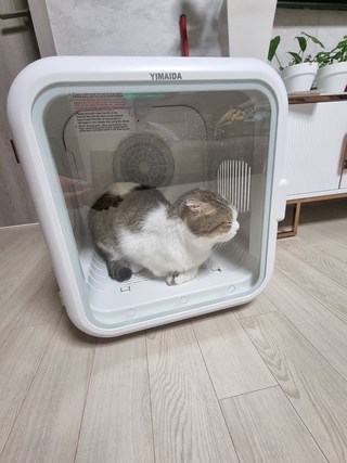갤러리 이미지