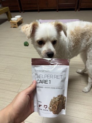 갤러리 이미지