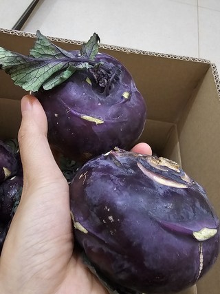 갤러리 이미지