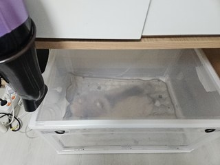 갤러리 이미지