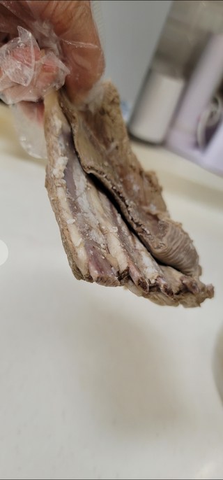 갤러리 이미지