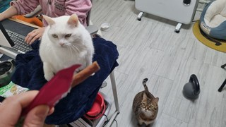 갤러리 이미지