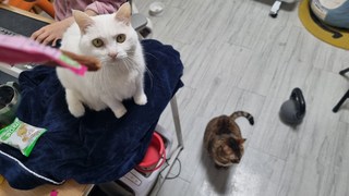 갤러리 이미지