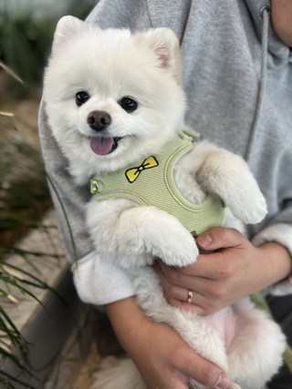 갤러리 이미지