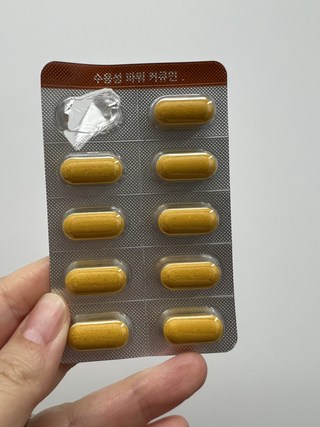 갤러리 이미지