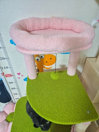 갤러리 이미지