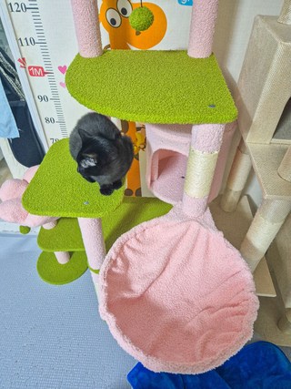 갤러리 이미지