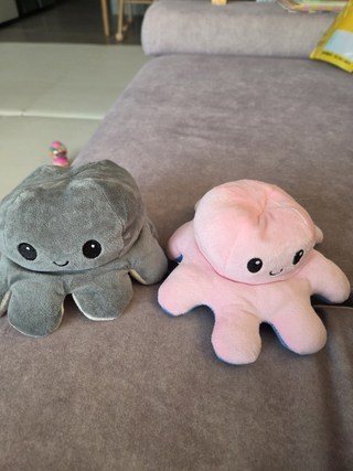 갤러리 이미지