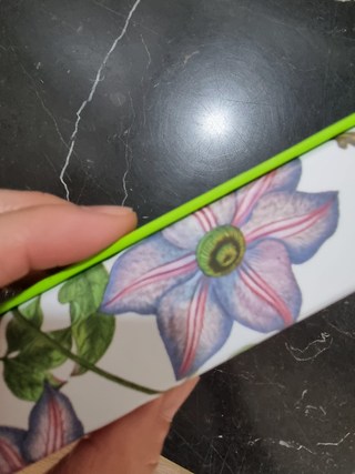 갤러리 이미지