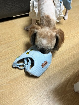 갤러리 이미지