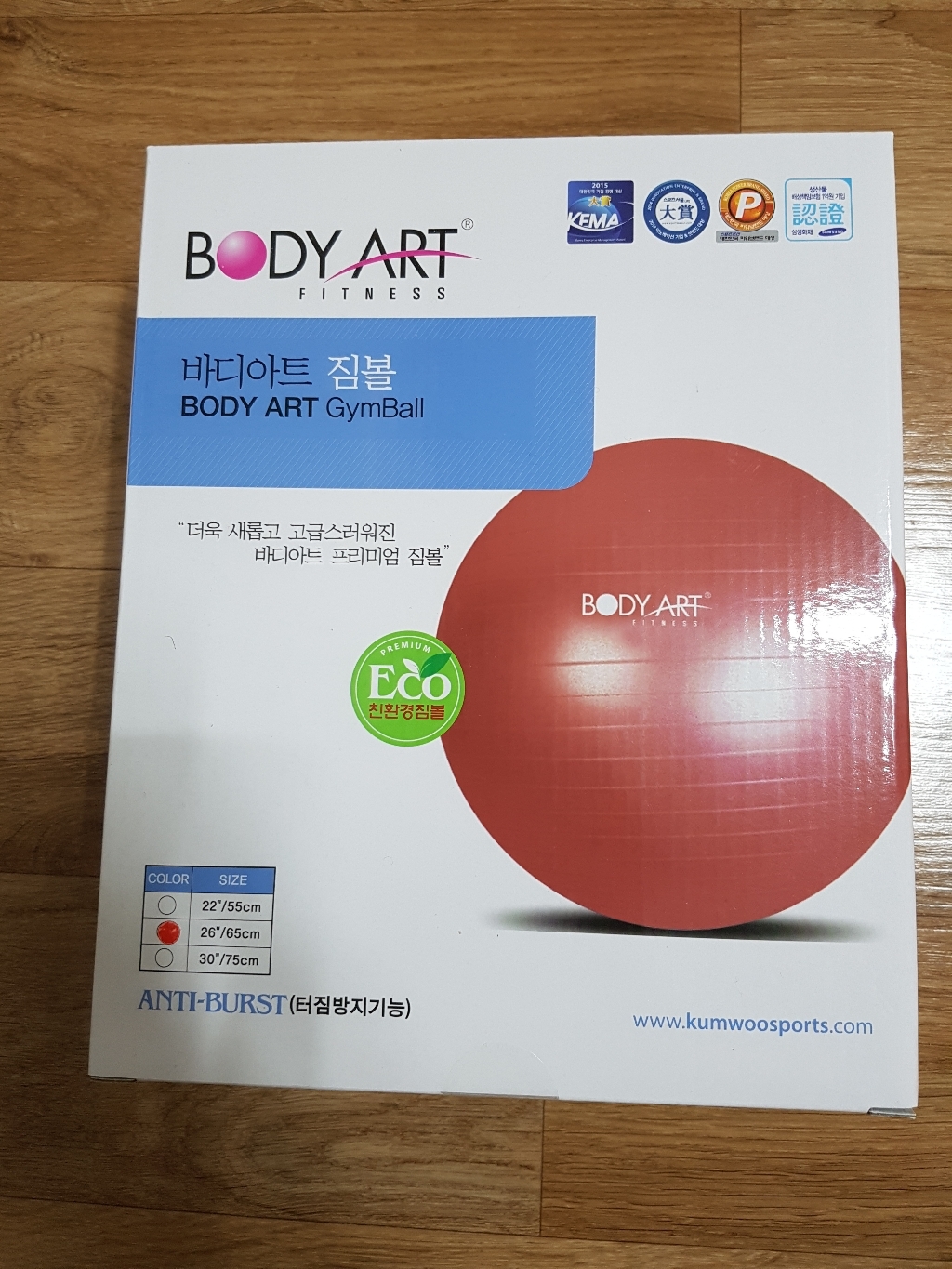 바디아트 안티버스트 짐볼