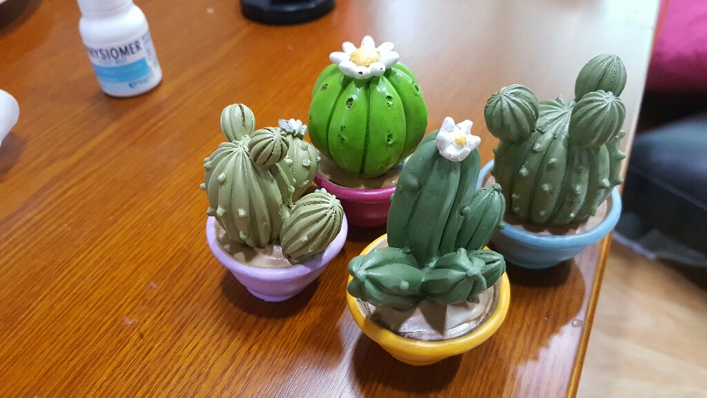 컨츄리아이템 캐스터 선인장 4종 장식품 리뷰후기