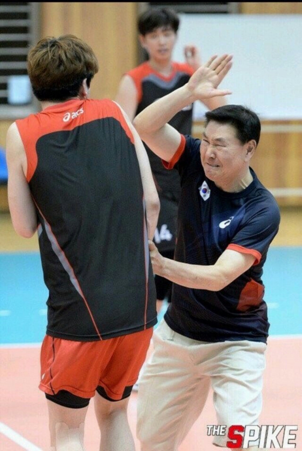 토종마을 홍화씨환 리뷰후기