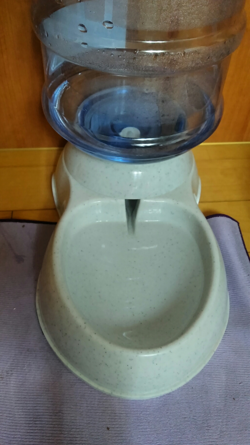 마이펫 자이언트 리필형 자율급수기 리뷰후기