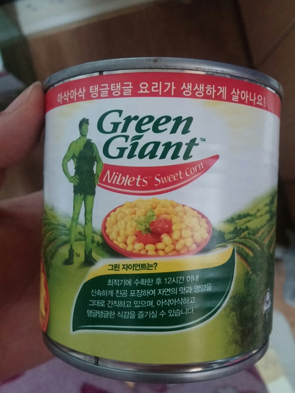SERETRA 그린자이언트 니블렛 스위트 콘