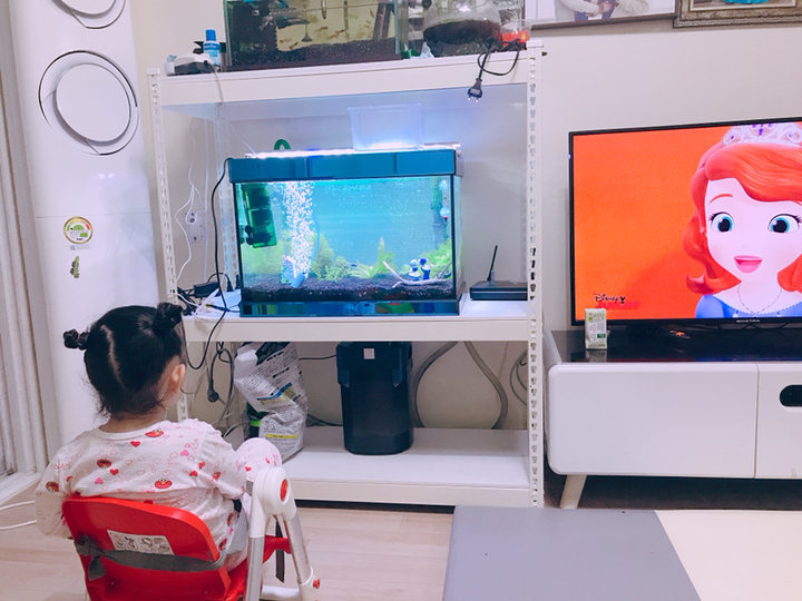 QQ아쿠아 외부여과기 BC1200