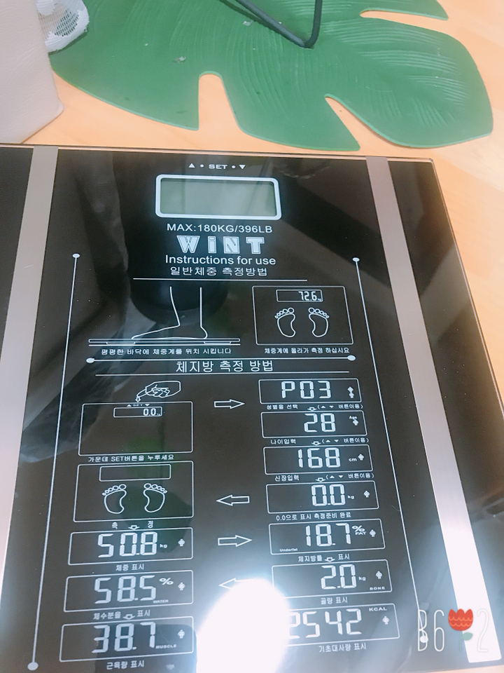윈트 체지방 체중계 WBF-018