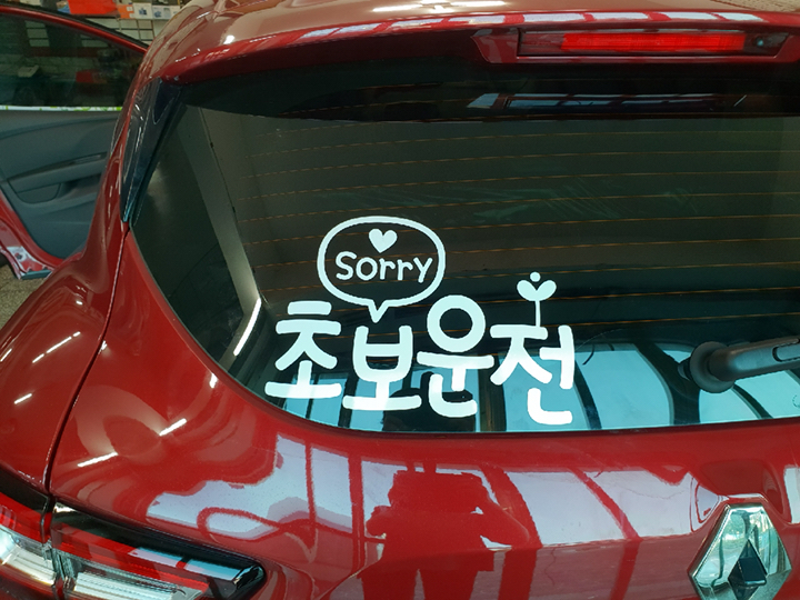 제제데코 초보운전 스티커 문구 쏘리 초보