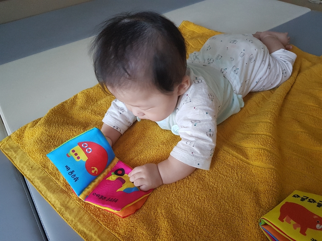 꼬마손 뽀송뽀송 헝겊책 소형 전 2권