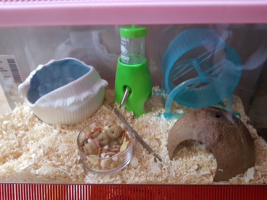 플러스펫 카르노 햄스터 2in1 물병꽂이 은신처