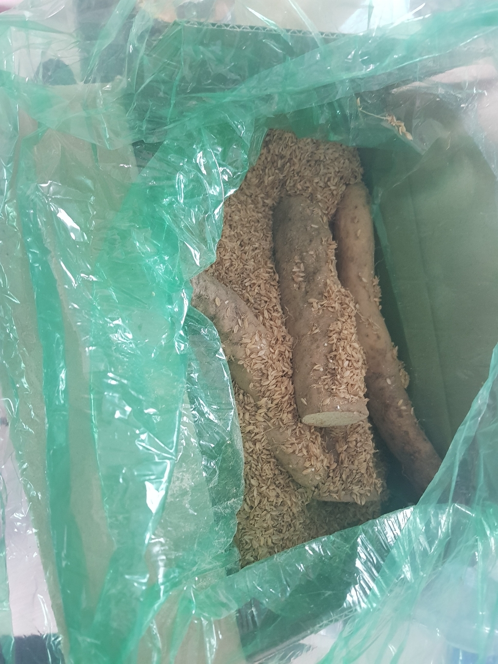 마사토 안동마 장마 왕특 리뷰후기