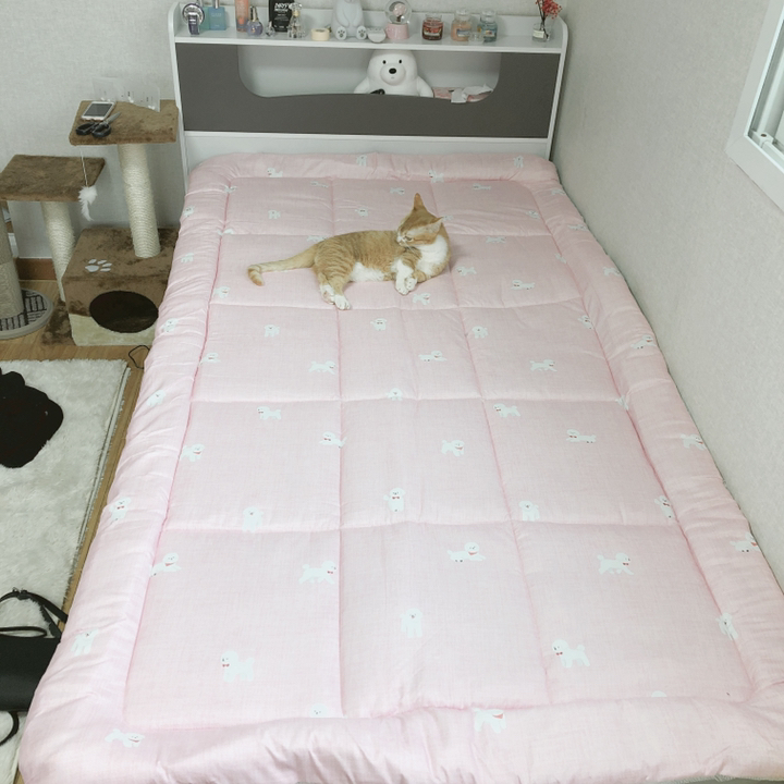 슈에뜨룸 비숑 피치스킨 요토퍼 리뷰후기