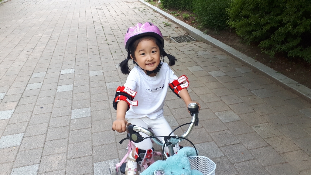 삼천리 미키 아동 보대