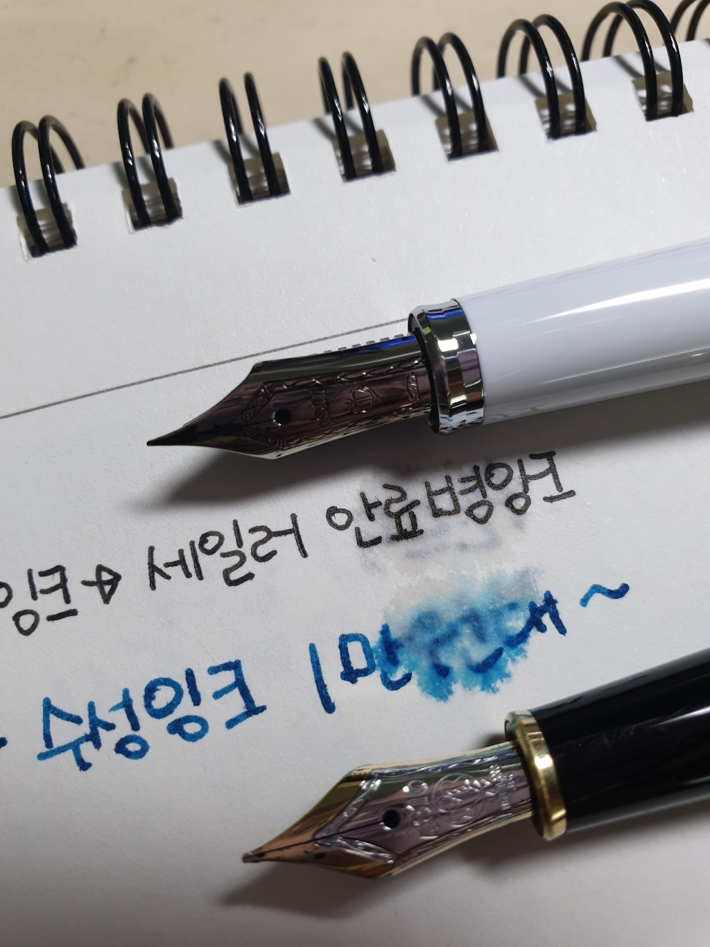 세일러 만년필용 안료 병잉크