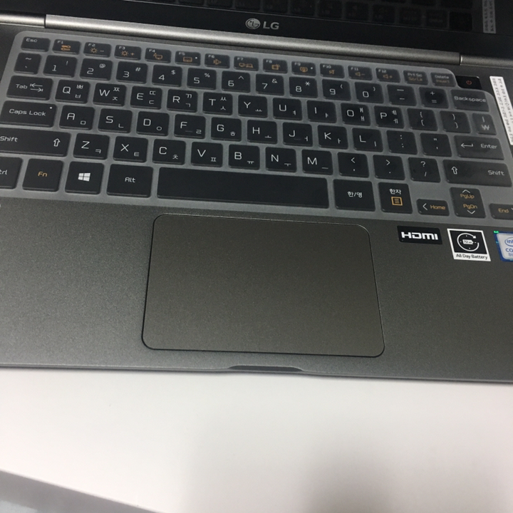 스코코 그램 14 2019 14Z990 / 14ZD990 무광 전신 외부보필름 리뷰 후기