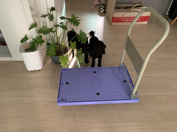 티렉스캐스터 T-REX CASTER 공룡카트 공룡달리 카트 대차 구르마 구루마 핸드카 끌차