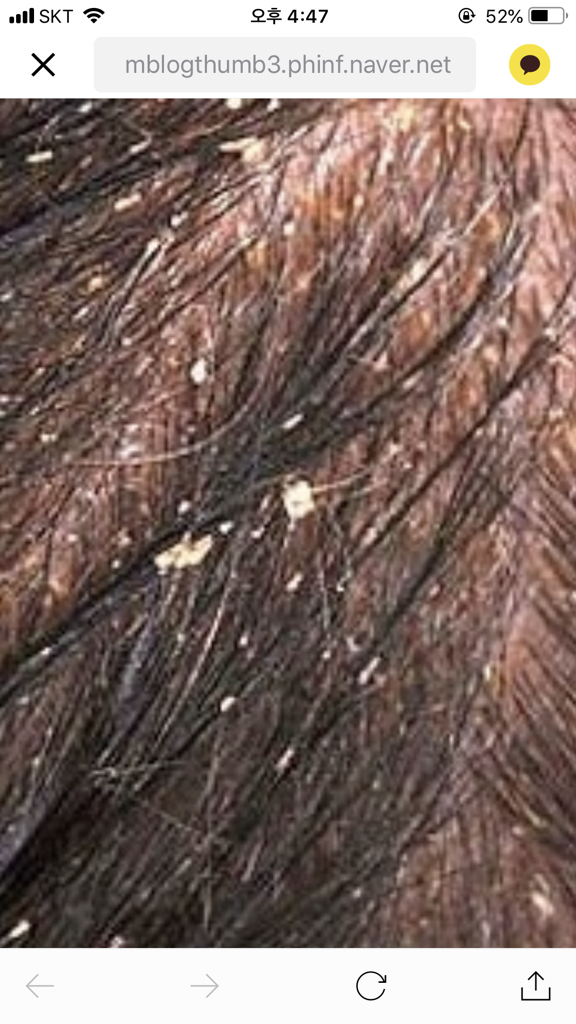 안달로우 아르간 스템 셀 에이지 디파잉 샴푸