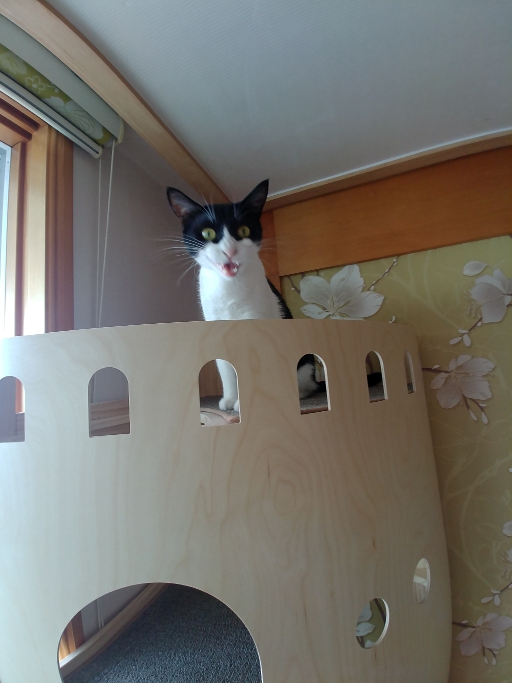CATNEST 코너형 캣타워