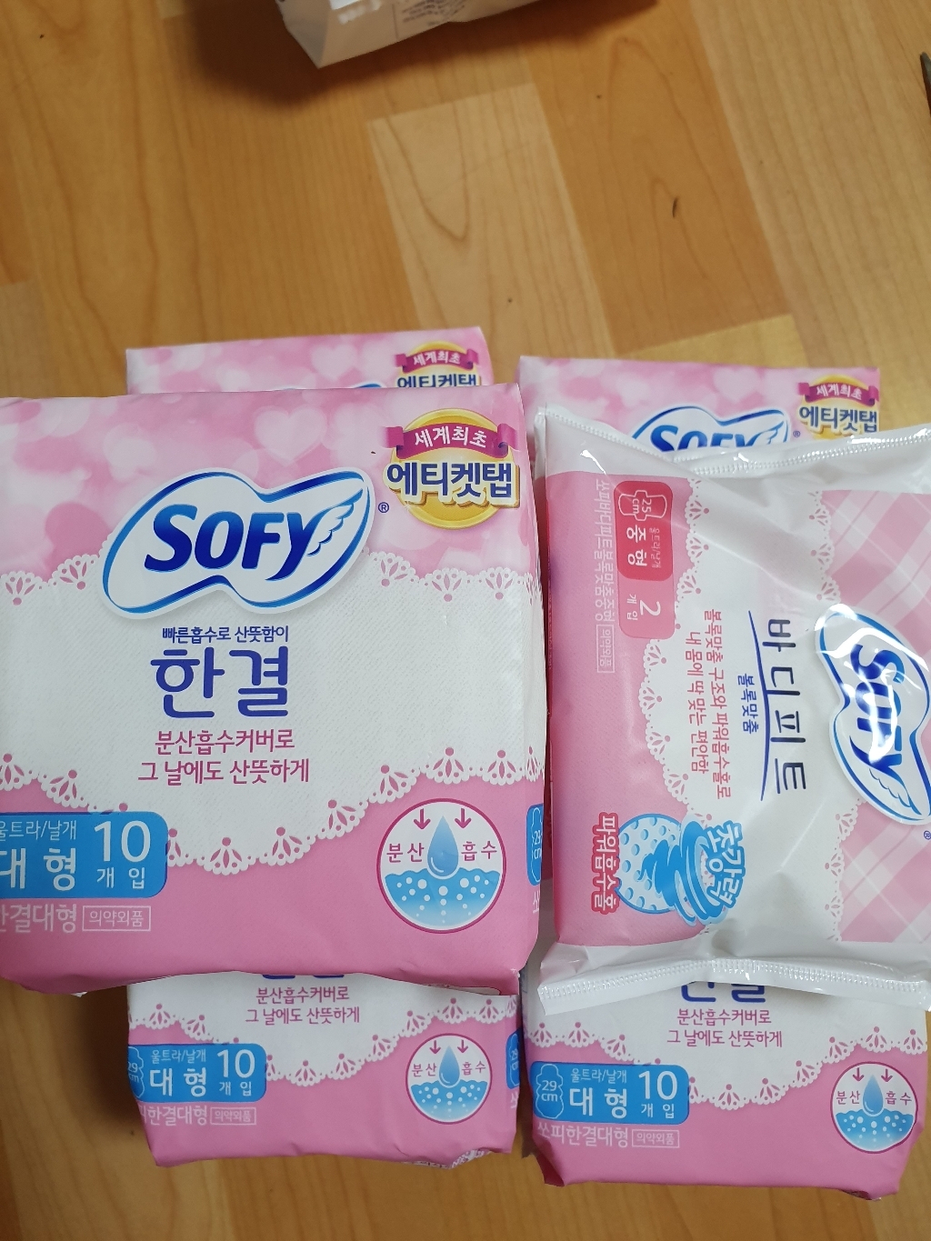 바디피트 한결 대형 증정중형