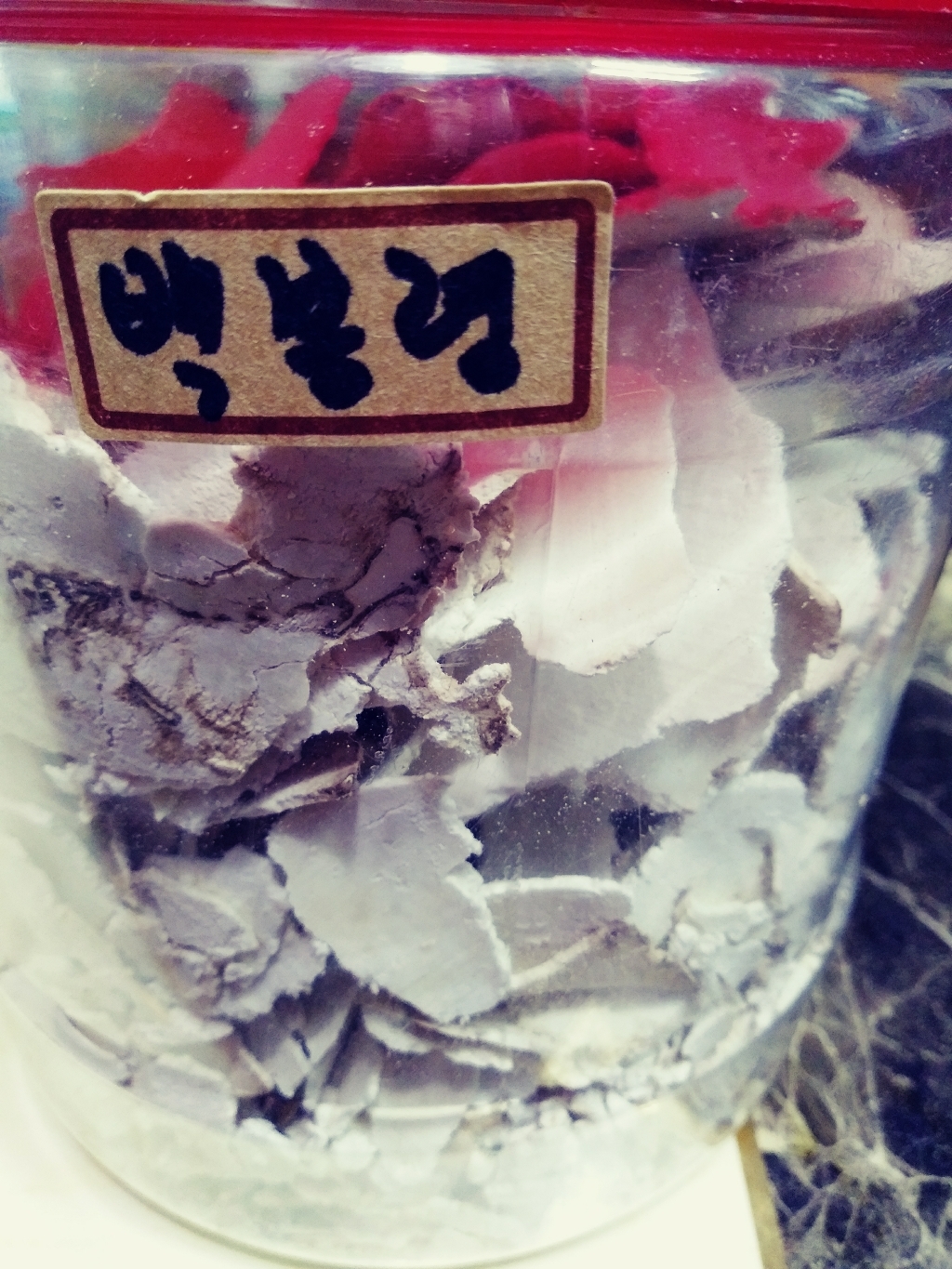 [동광한방몰] 백복령/중국산