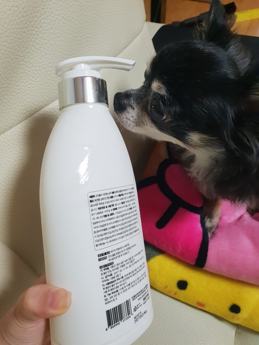 코코몰리 프리미엄 애견 샴푸 리뷰후기