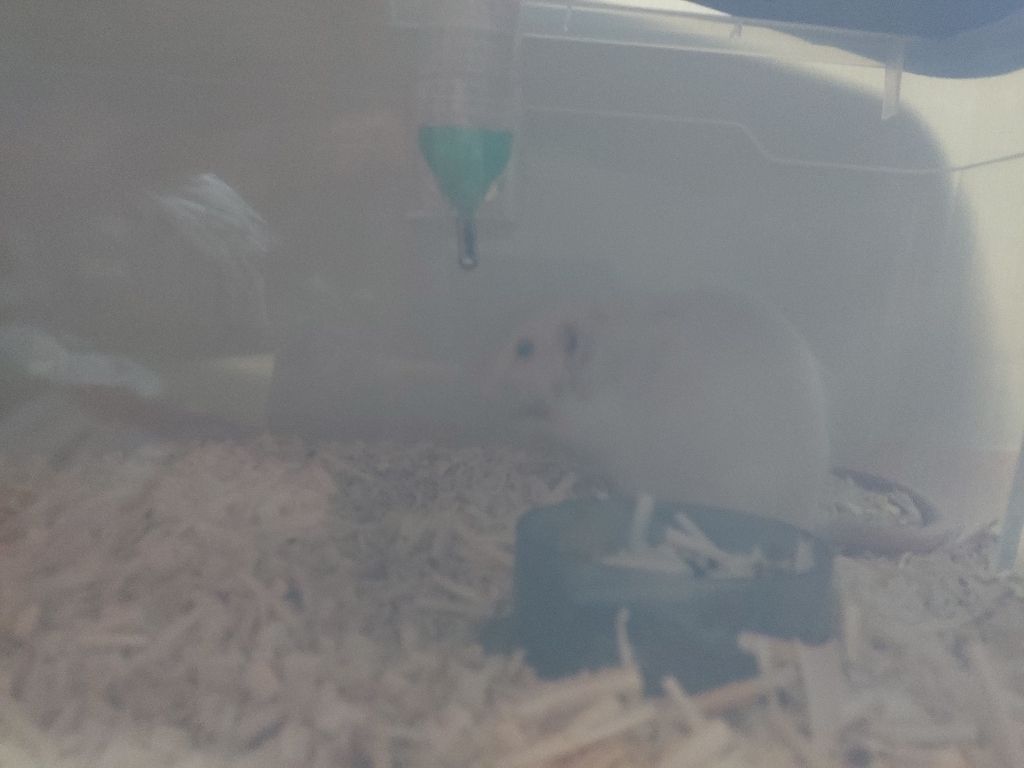아올로 자석 아크릴 급수기 거치대 급수기