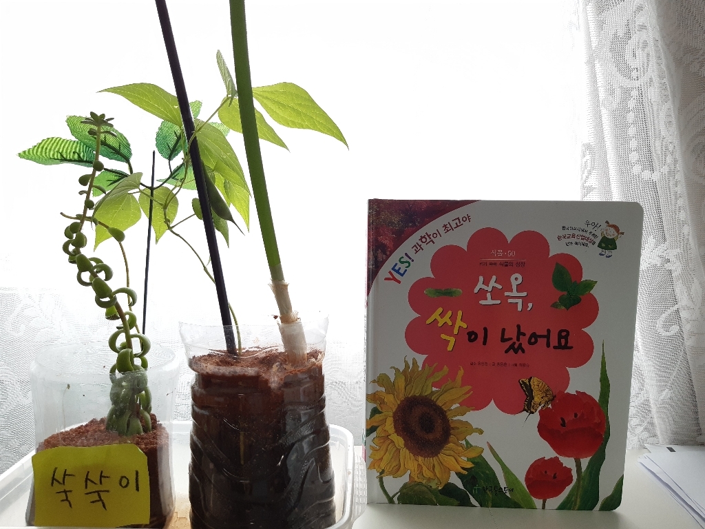 E 미생물먹은 친환경 황토 흙 체로 곱게 거른 국내산 E 황토흙