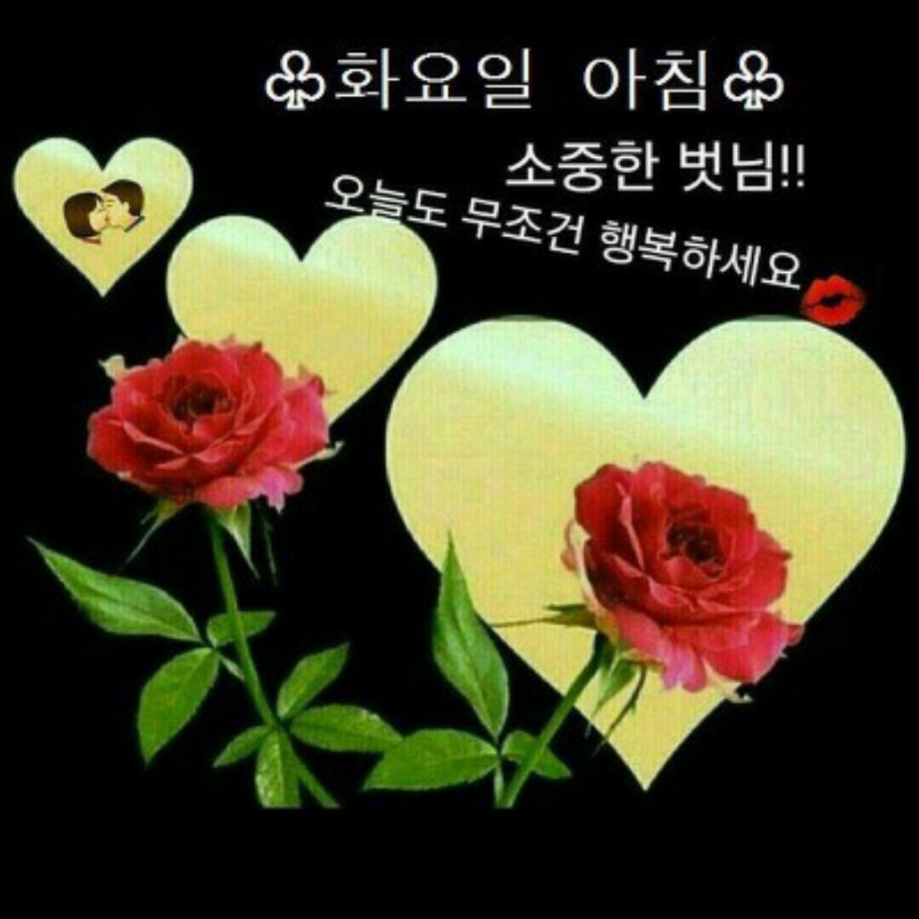 VAZO Waes 여성골프웨어 터틀넥 티셔츠 JDR
