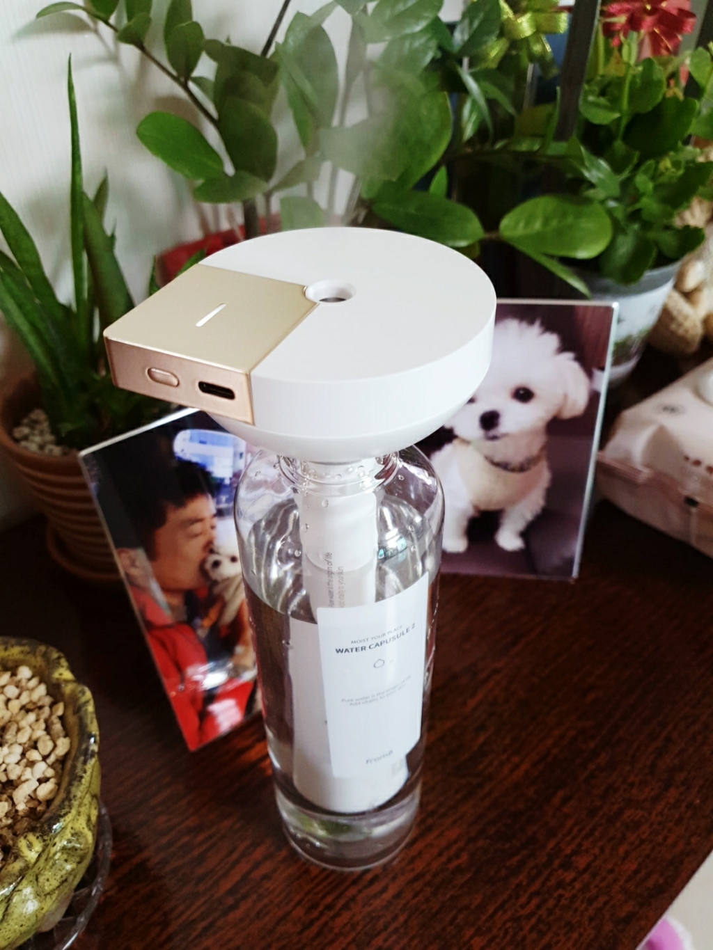 프롬비 워터캡슐2 무선 스틱 생수병 가습기